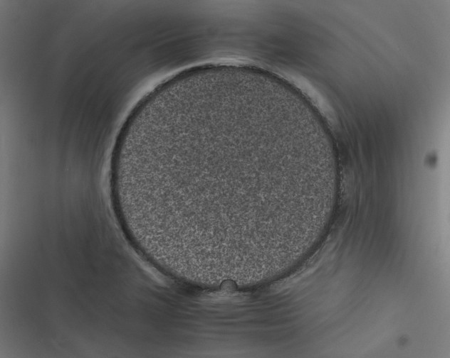 X0000116601327201001081141