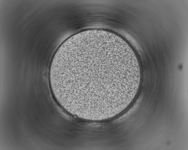 X0000116601329201001081141