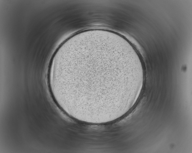 X0000116601333201001081141
