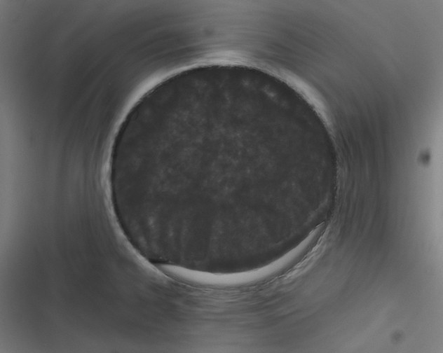X0000116601334201001081141