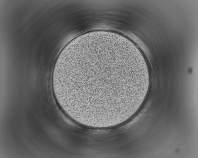 X0000116601337201001081141