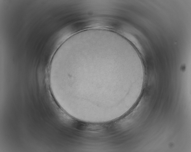 X0000116601338201001081141