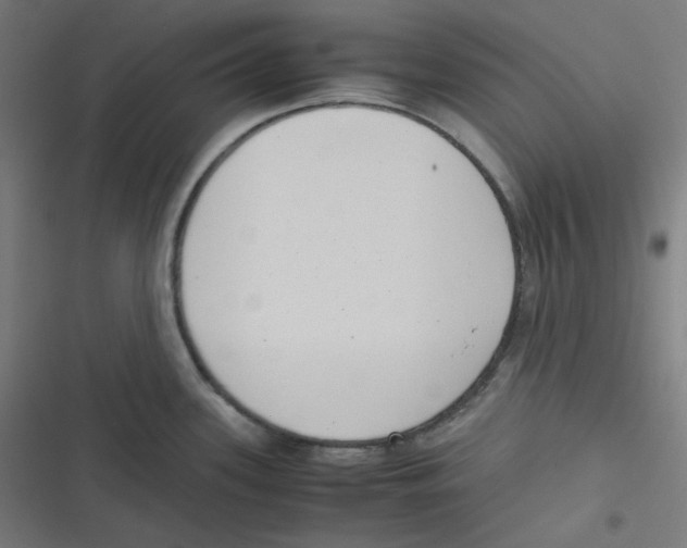 X0000116601339201001081141