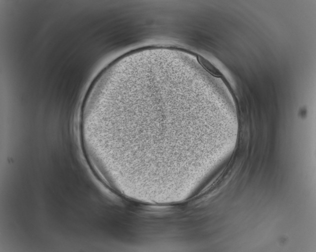 X0000116601343201001081142