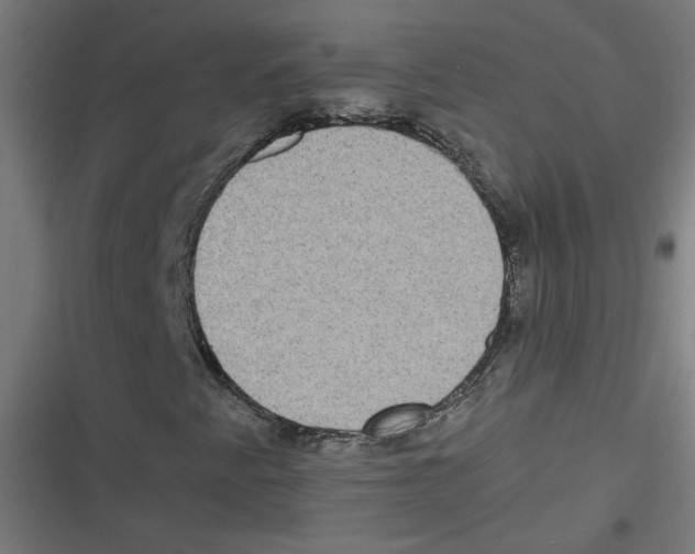 X0000116601345201001081141