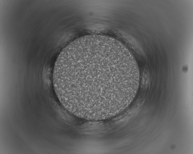 X0000116601346201001081141