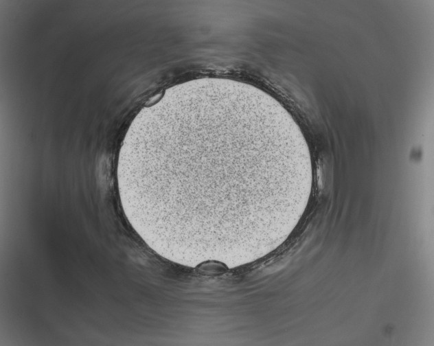 X0000116601347201001081141