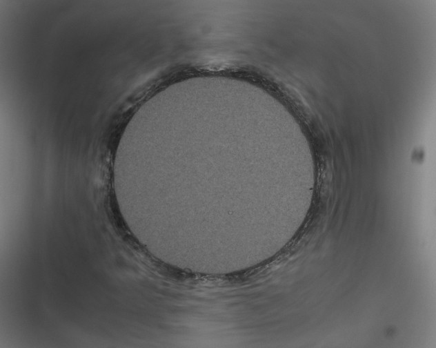 X0000116601349201001081141