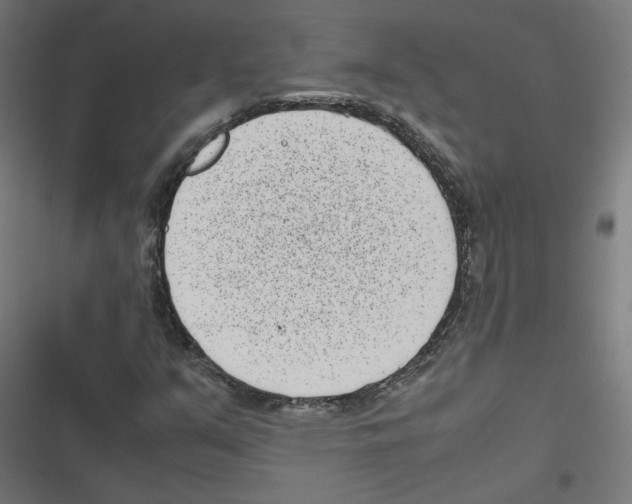X0000116601351201001081141