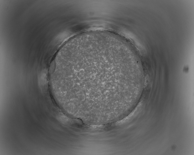 X0000116601353201001081141