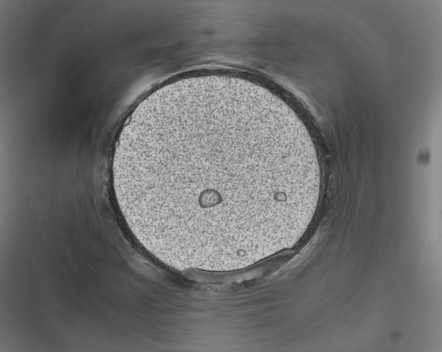 X0000116601355201001081141