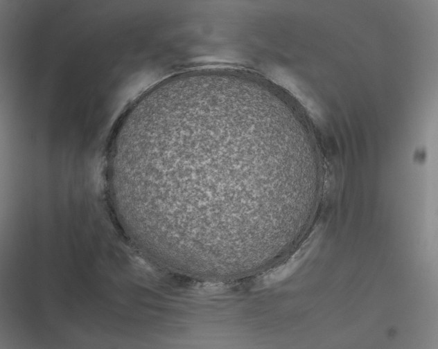X0000116601357201001081141