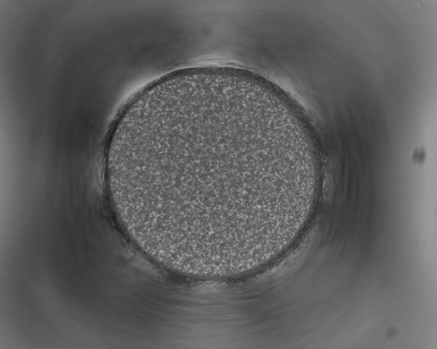 X0000116601358201001081141