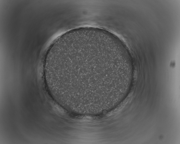 X0000116601359201001081141