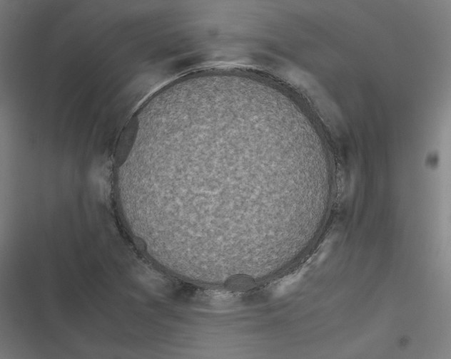 X0000116601361201001081141