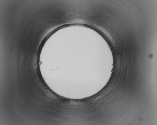 X0000116601364201001081141