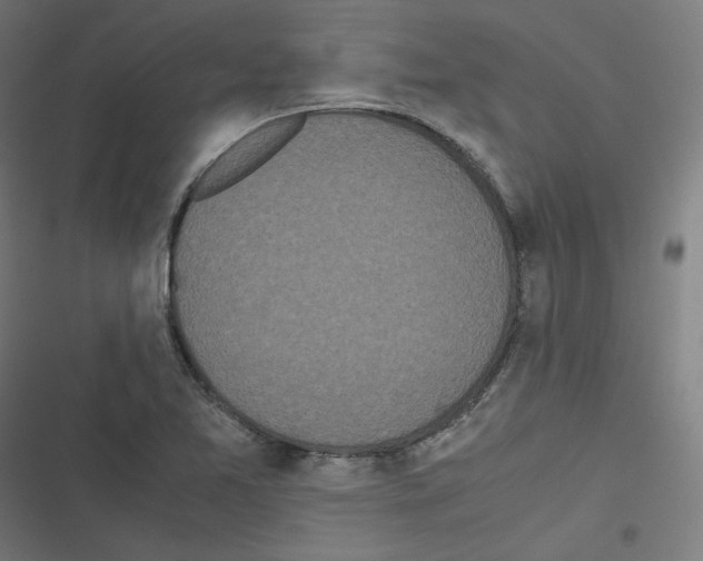 X0000116601365201001081141