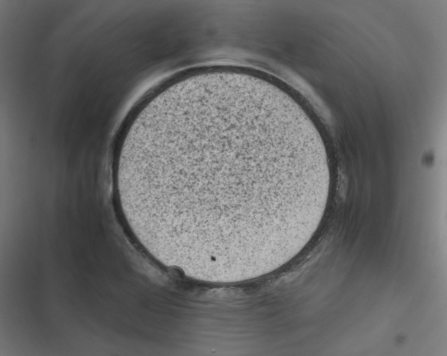 X0000116601368201001081141