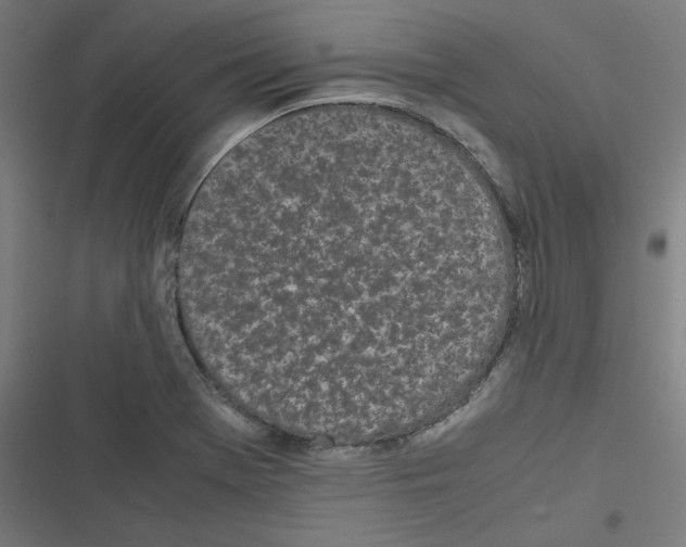 X0000116601369201001081141