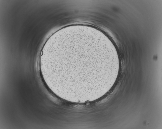 X0000116601371201001081141