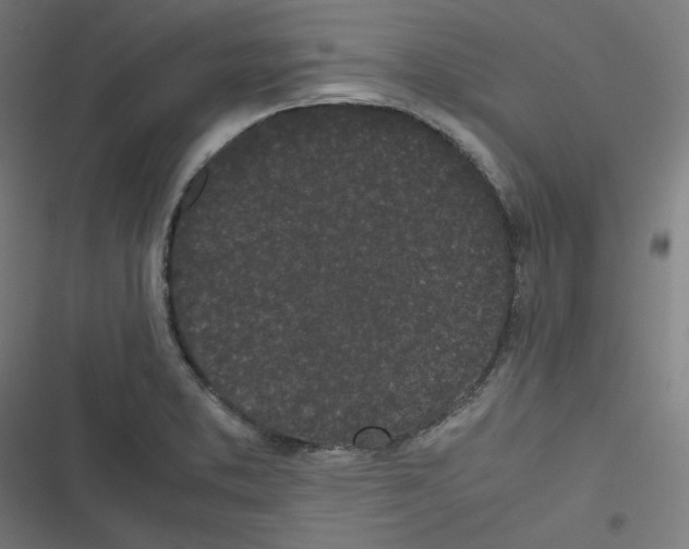 X0000116601373201001081141