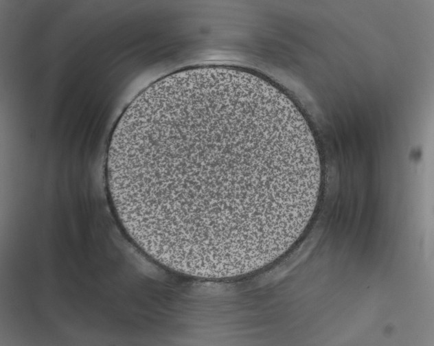 X0000116601374201001081141