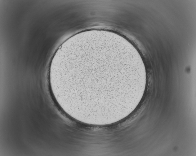 X0000116601375201001081140