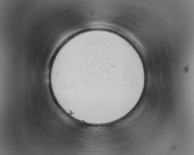 X0000116601376201001081140