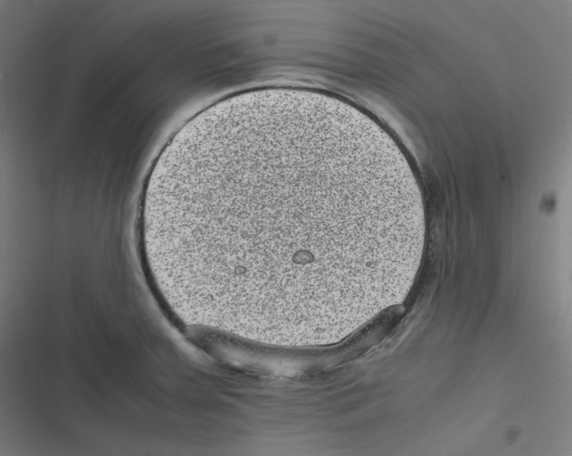 X0000116601379201001081140