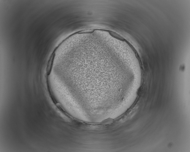 X0000116601381201001081140