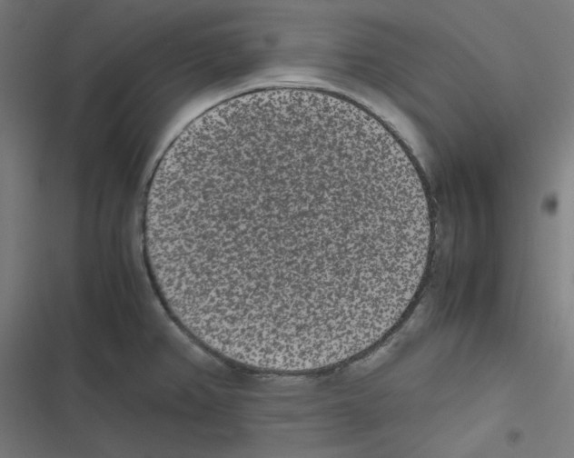 X0000116601382201001081140