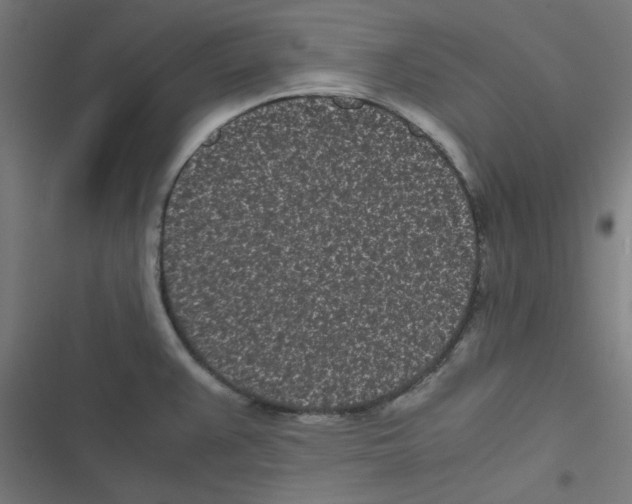 X0000116601383201001081140