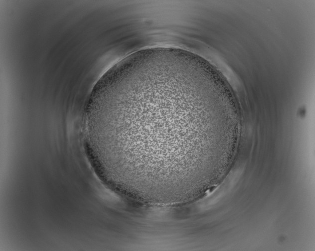 X0000116601385201001081140