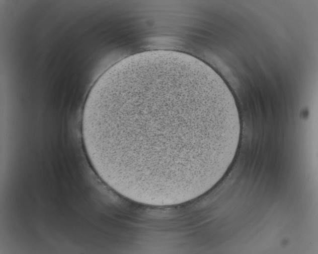 X0000116601386201001081140