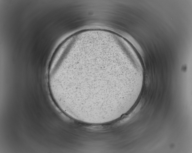 X0000116601388201001081140