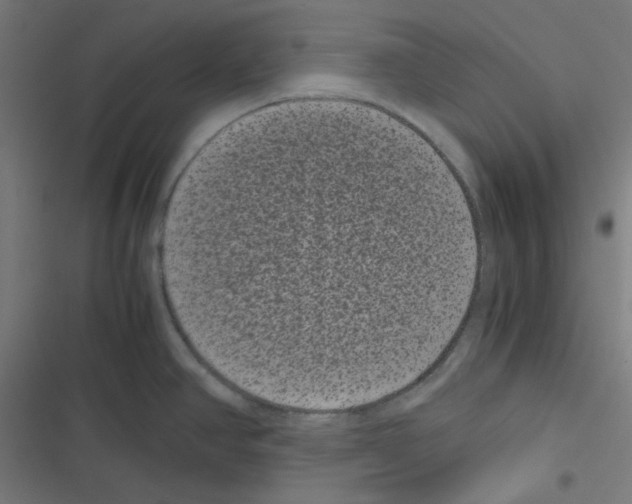 X0000116601390201001081140