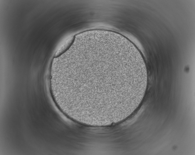 X0000116601391201001081140