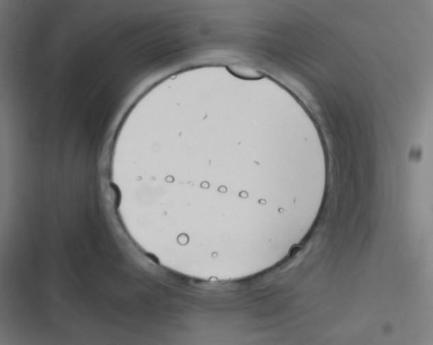X0000116601392201001081140