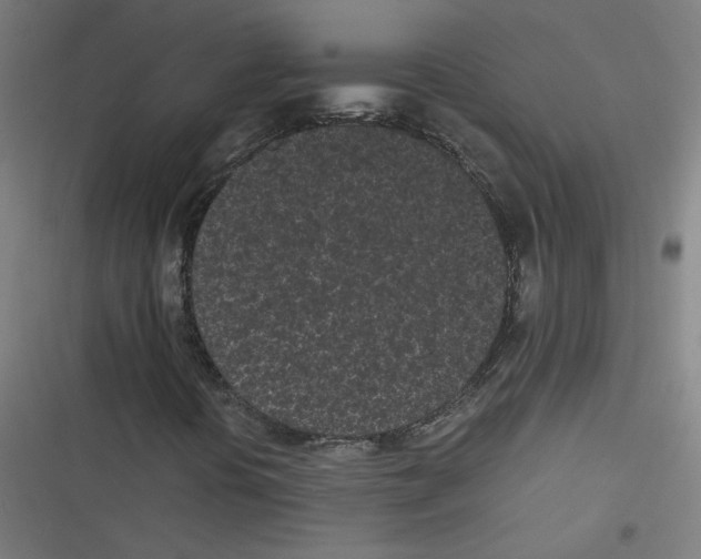 X0000116601394201001081140