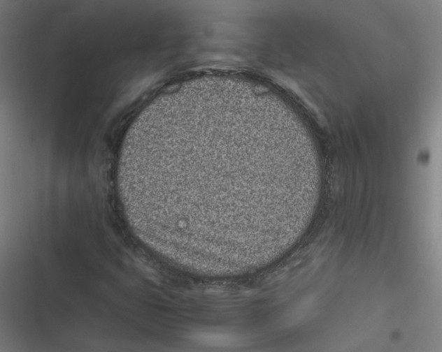X0000116601399201001081140