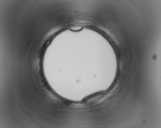 X0000116601402201001081140
