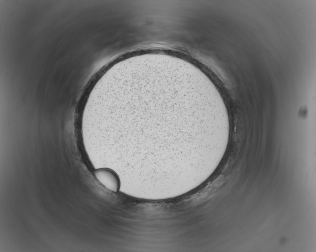 X0000116601404201001081140