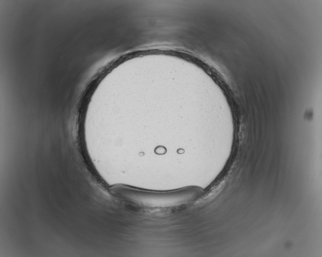 X0000116601406201001081140