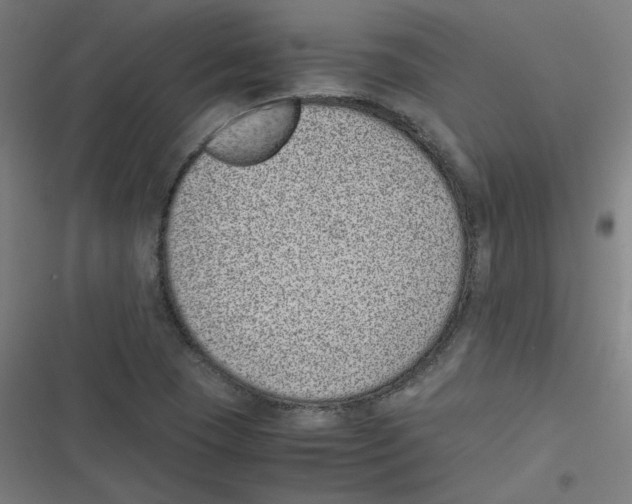 X0000116601409201001081140