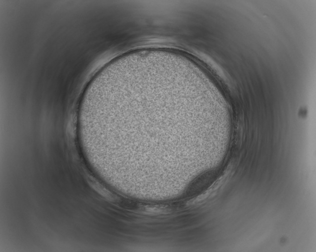 X0000116601413201001081140