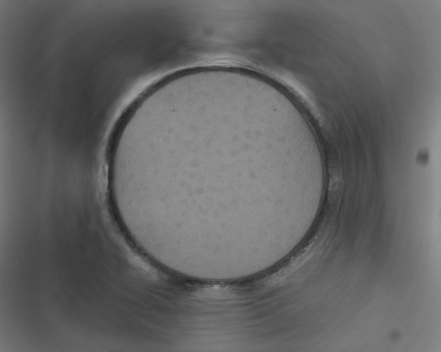 X0000116601414201001081140