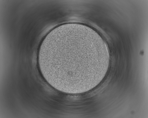 X0000116601415201001081140