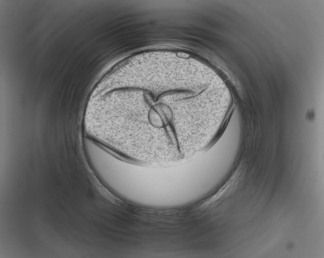 X0000116601417201001081140