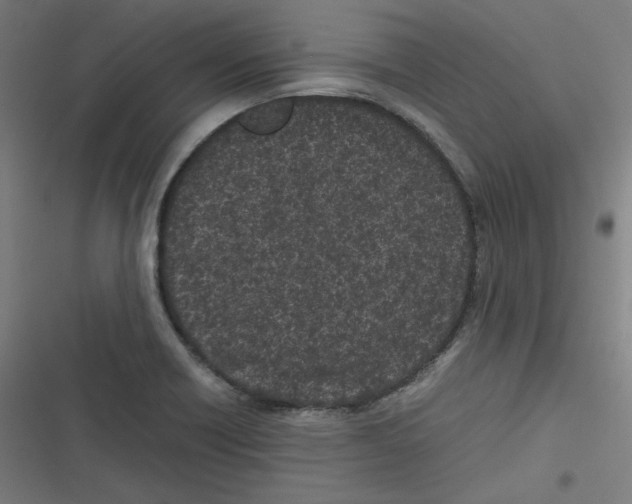 X0000116601418201001081140