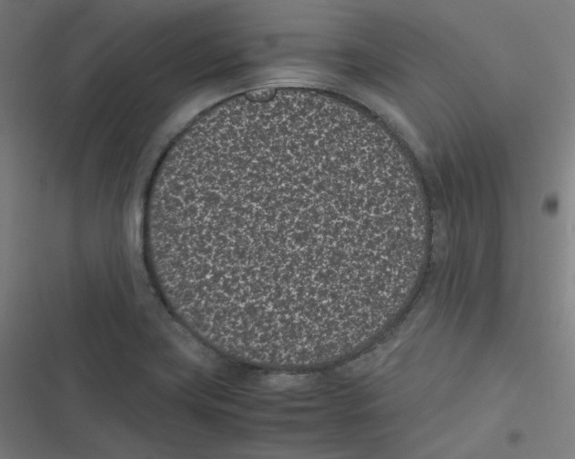 X0000116601419201001081140